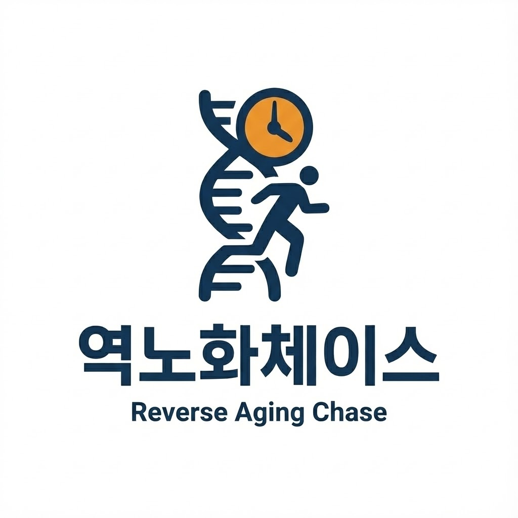 역노화체이스 운영자