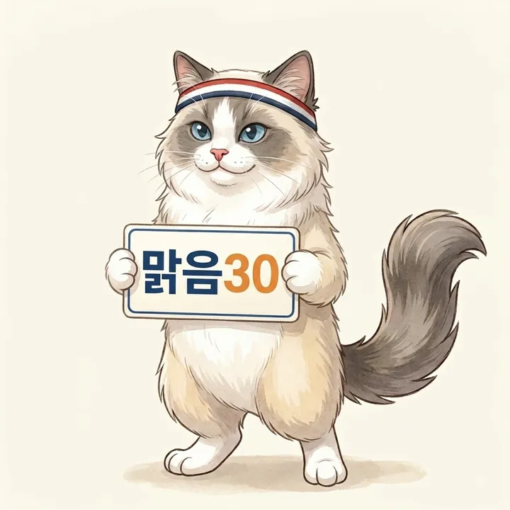 맑음30 팻말을 들고 있는 고양이